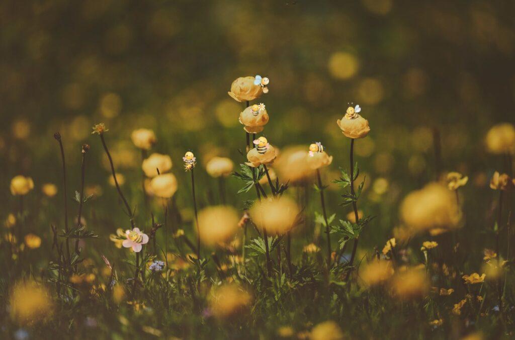 Renaissance intérieure : quand les mémoires transgénérationnelles freinent ton élan