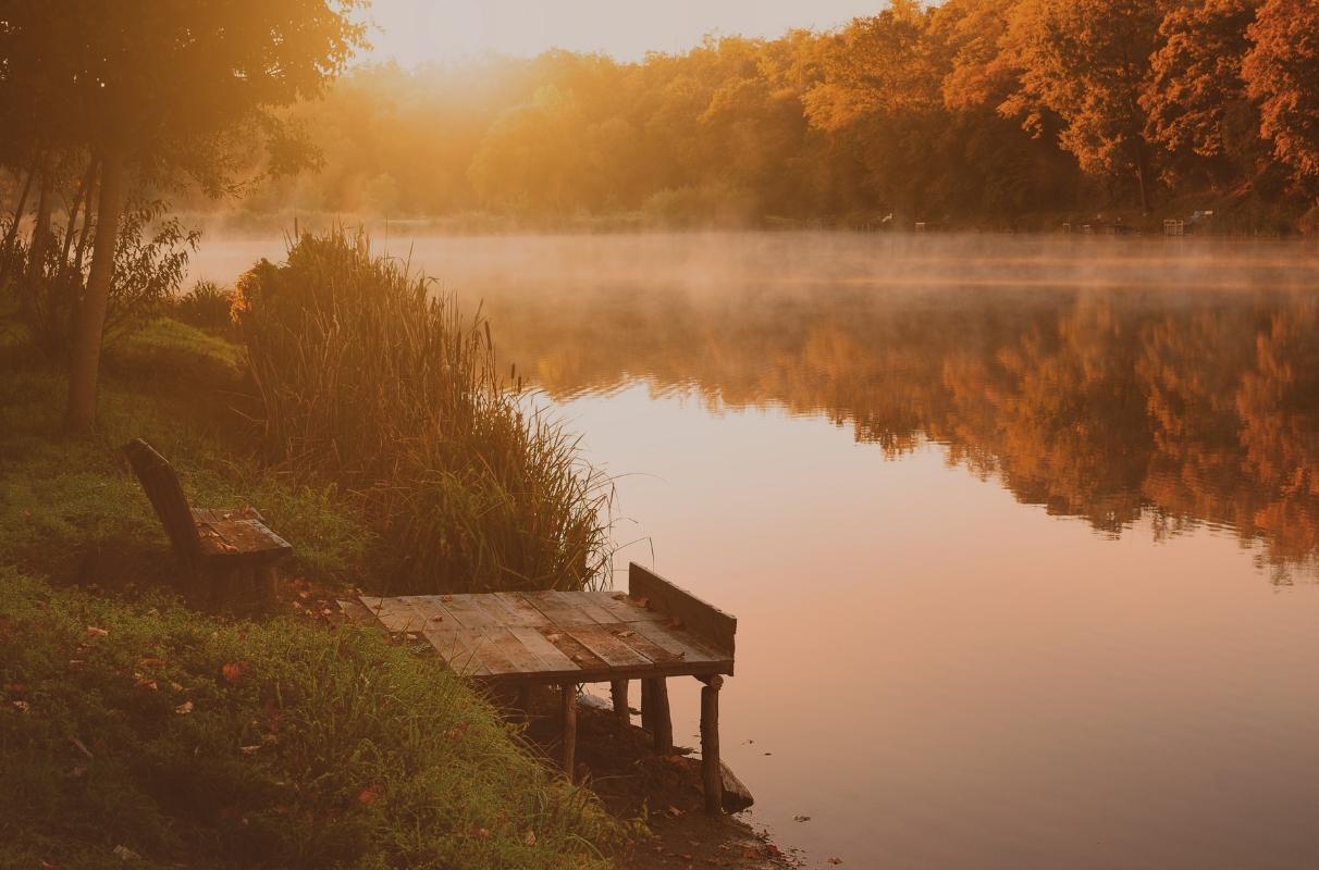 Renacimiento interior: cuando las memorias transgeneracionales influyen en tu evolución